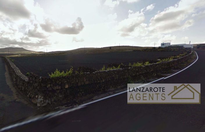 Image No.3-Terre à vendre à Teguise