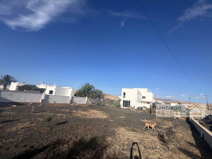 Image No.33-Finca de 5 chambres à vendre à El Cuchillo