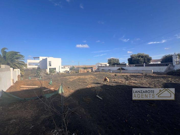 Image No.34-Finca de 5 chambres à vendre à El Cuchillo