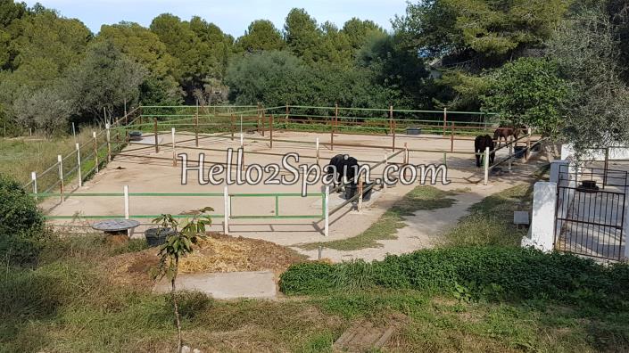 Image No.30-Appartement de 1 chambre à vendre à Pedreguer