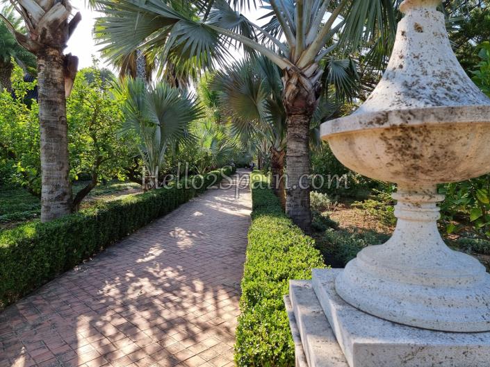 Image No.33-Appartement de 1 chambre à vendre à Pedreguer