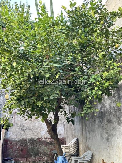 Image No.24-4 Bed Townhouse for sale