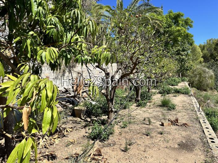 Image No.40-Propriété de pays de 4 chambres à vendre à Oliva