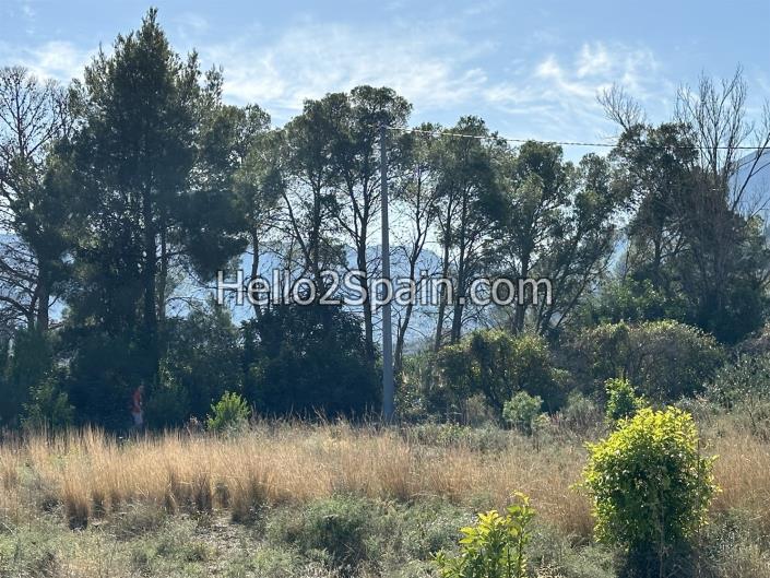 Image No.3-Terre de 4 chambres à vendre à Alcalali