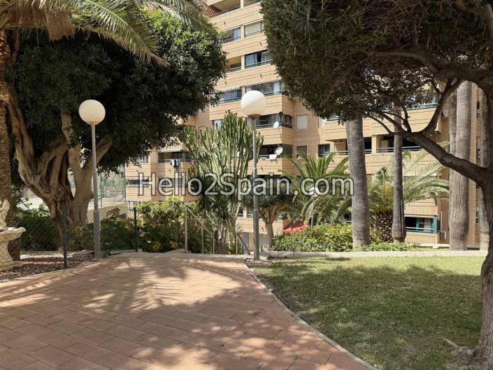 Image No.23-Appartement de 1 chambre à vendre à Benidorm