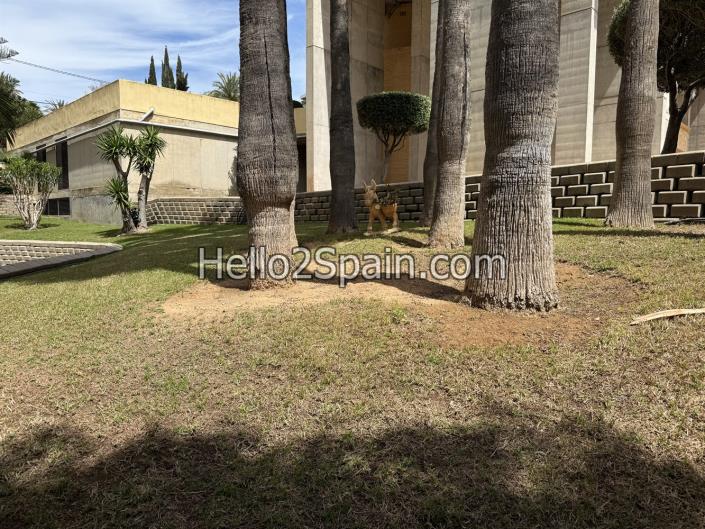 Image No.24-Appartement de 1 chambre à vendre à Benidorm