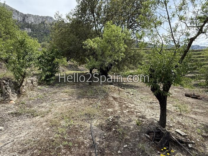 Image No.9-Terre à vendre à Vall de Gallinera