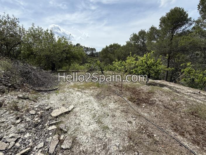 Image No.12-Terre à vendre à Vall de Gallinera