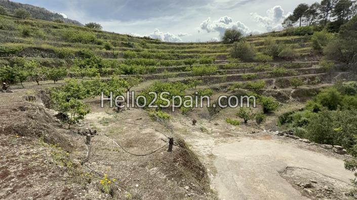 Image No.19-Terre à vendre à Vall de Gallinera