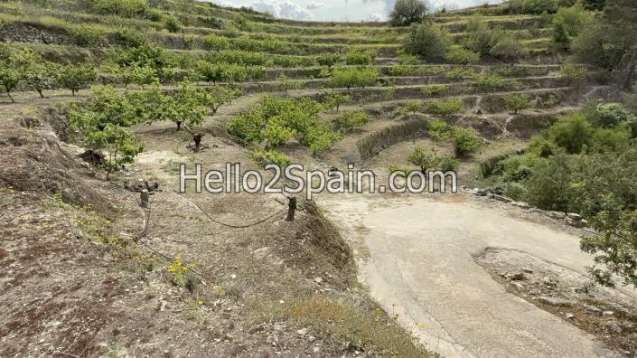 Image No.20-Terre à vendre à Vall de Gallinera