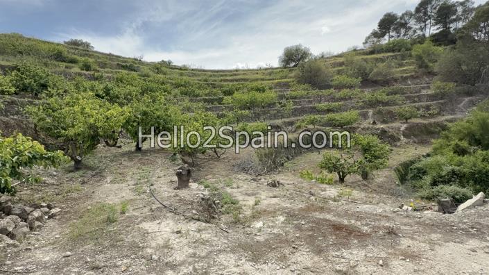 Image No.24-Terre à vendre à Vall de Gallinera