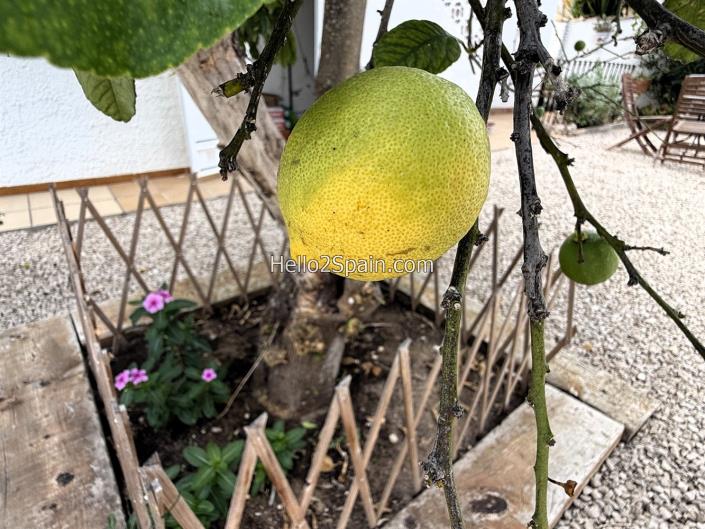 Image No.37-3 Bed Villa / Detached for sale