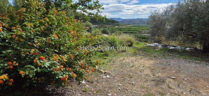 Image No.6-Maison de campagne de 4 chambres à vendre à Oliva