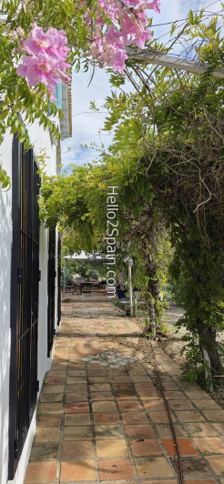 Image No.11-Maison de campagne de 4 chambres à vendre à Oliva