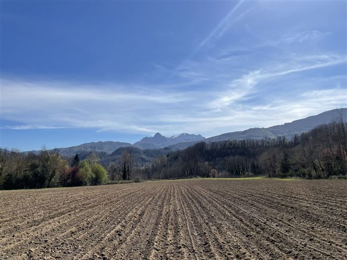 Image No.12-Propriété à vendre à Lucca