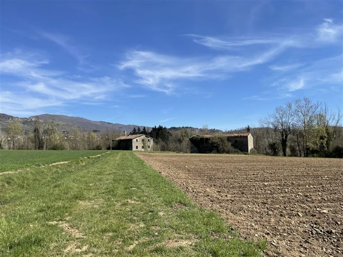 Image No.13-Propriété à vendre à Lucca