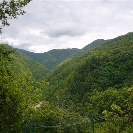 Image No.17-2 Bed Property for sale