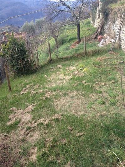 Image No.11-Property for sale