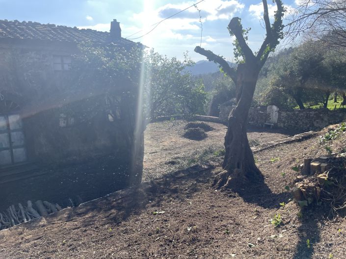 Image No.18-Propriété de 3 chambres à vendre à Lucca