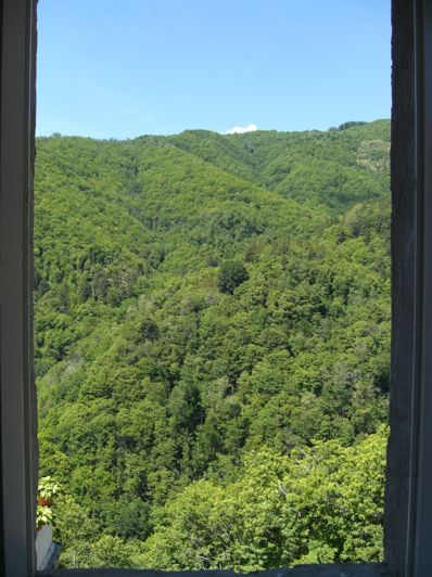 Image No.25-2 Bed House for sale