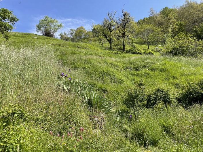 Image No.13-3 Bed Property for sale