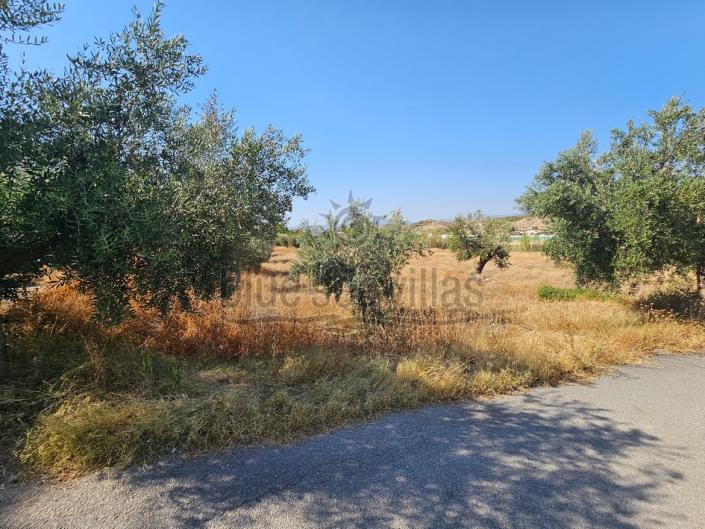 Image No.26-Ferme de 7 chambres à vendre à Albox