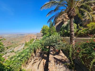 19_20250912_141836_opt