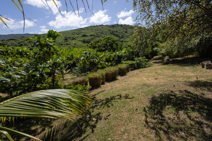 Image No.5-Land for sale