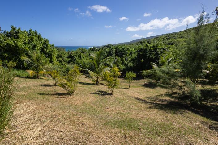 Image No.7-Land for sale