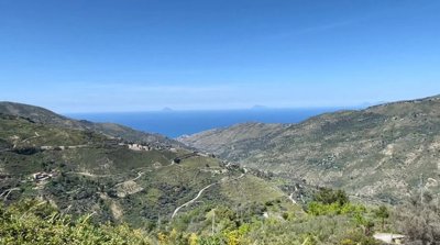 65ffdca0dad4c4959e6a07f051f218447dcdcfa24e128