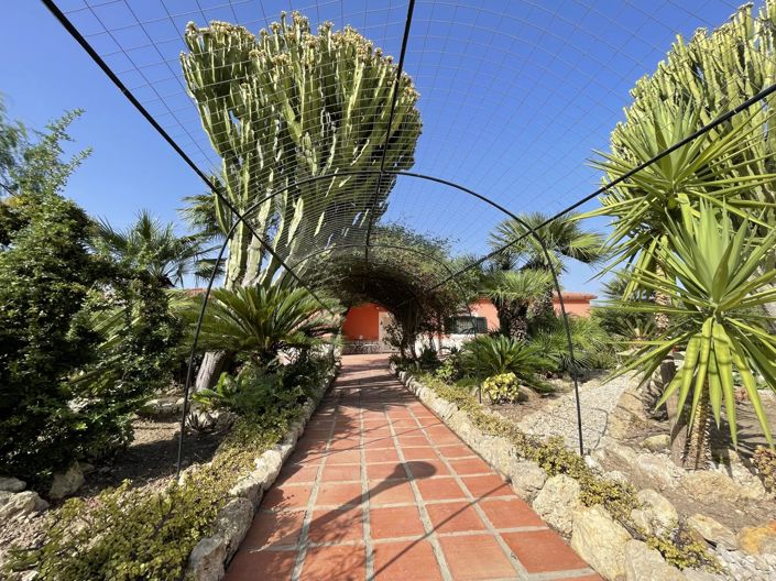 Image No.22-4 Bed House for sale