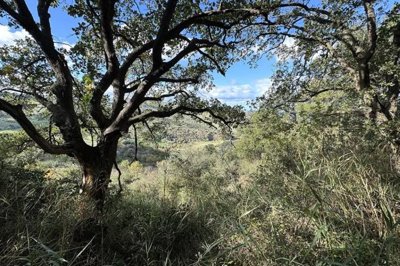 24e51c79632e15c013c4326616567b1d49c4b85e10960