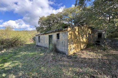 360f12df7a96d86dfaab43a06582067e60e8e6db71120