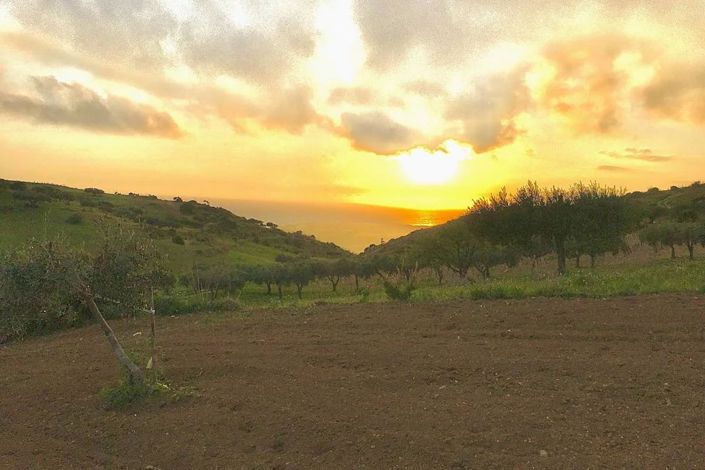 Image No.2-Terre à vendre à Siculiana