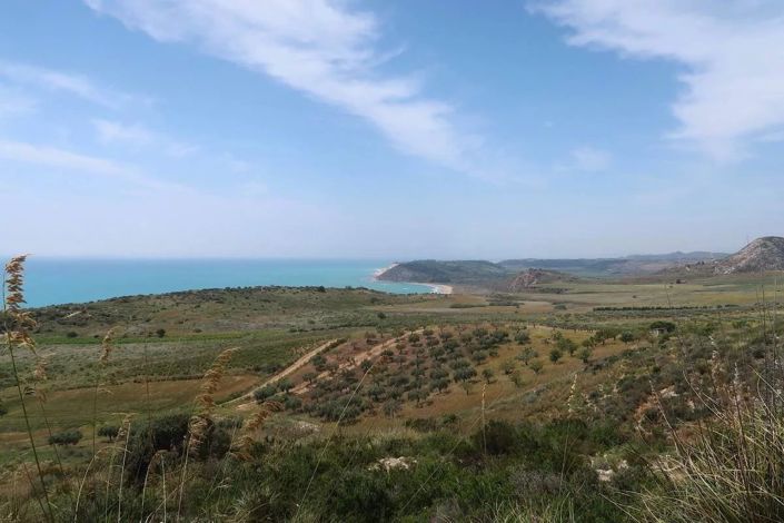 Image No.6-Terre à vendre à Siculiana