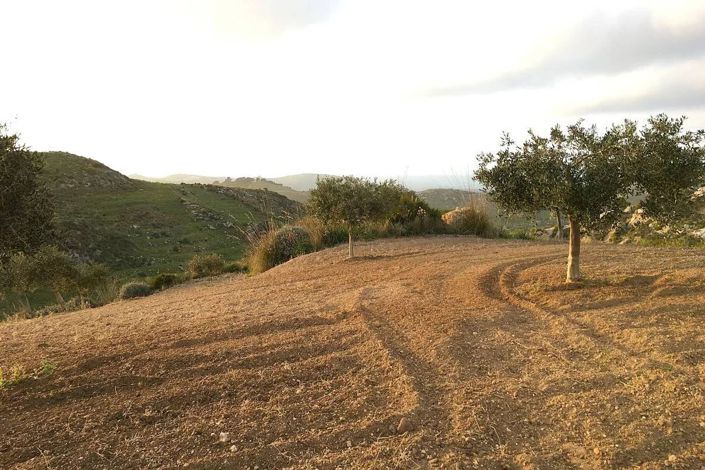 Image No.8-Terre à vendre à Siculiana