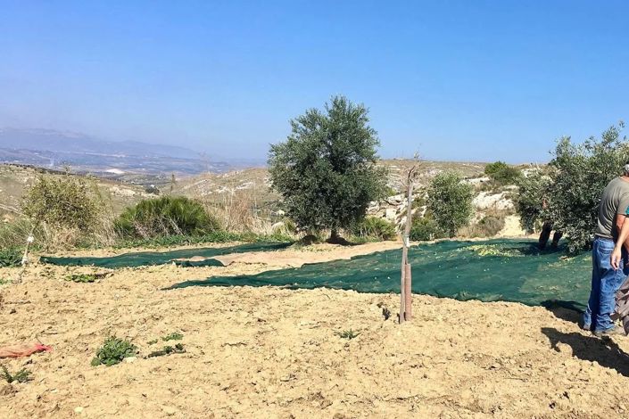 Image No.9-Terre à vendre à Siculiana