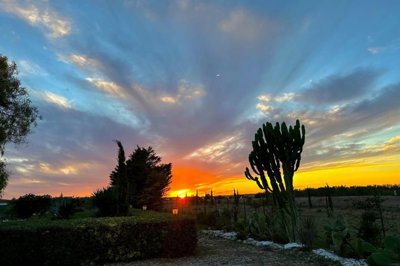 a66d0a98c4292bd7e7aedc8e94788853ca71470c93192