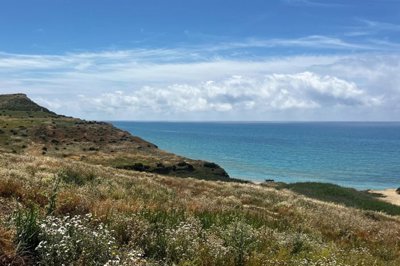 fc85c6a4f65e15c17cc5cc1664b41e082a1802dca2192