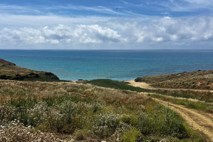 Image No.4-3 Bed House for sale