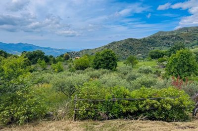 cf5bcf3cda131b6dd81e5bada98a9659bd85597d56192