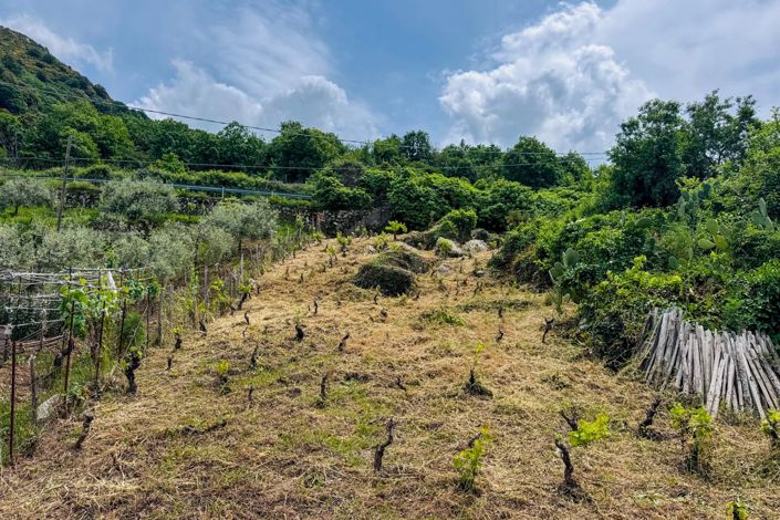 Image No.25-House for sale