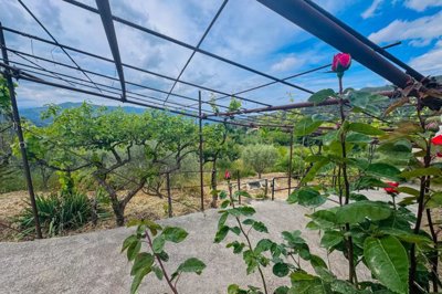 d88d3cf0113f23169cc8ccc25863eeba2313a45fb0192