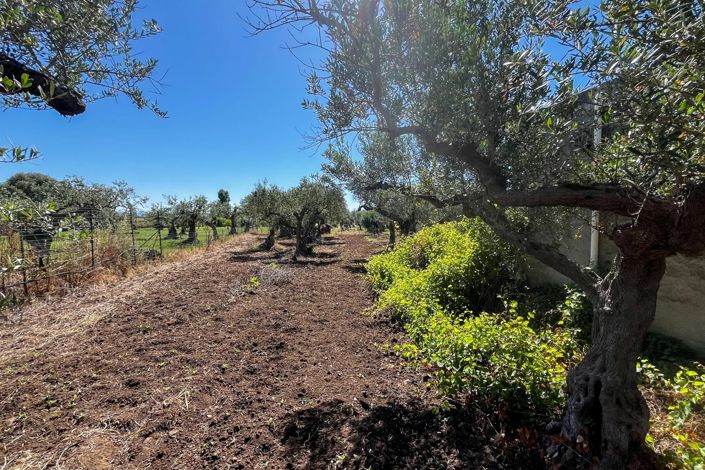 Image No.10-1 Bed Apartment for sale