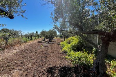 0a94200ab35739b45515cd3601638bb056f8d4abd9192