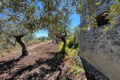 afbf622b37543e0f758ff43e4246d7767c2466a116192