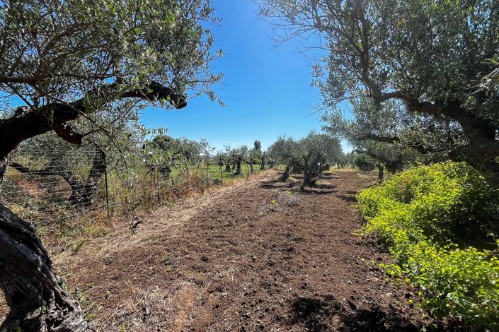 Image No.5-1 Bed Apartment for sale