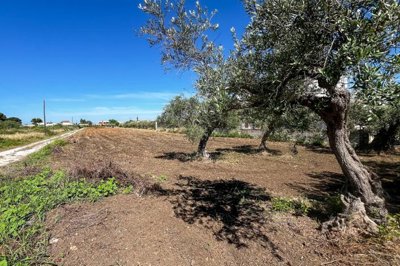 19ab8113add775953c5befcb992c70318645efcd12192