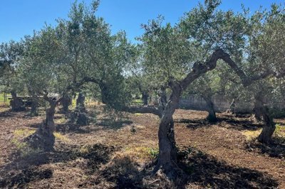 7f8bbfb901c222dd64ff845fa3884891e49f23da41192