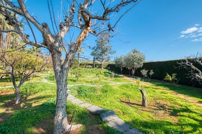 Image No.30-Villa de 3 chambres à vendre à Ayia Napa